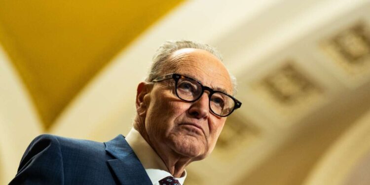 Mientras el DHS de Trump devasta a Estados Unidos, Schumer dice que su trabajo es “luchar por la ayuda a Israel”