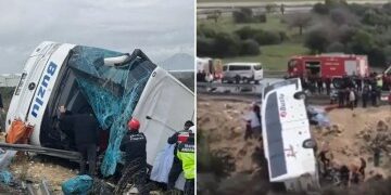 Mire el impactante momento en que un hombre se sube al techo de un avión en un aeropuerto turístico español, provocando un retraso de dos horas en el vuelo