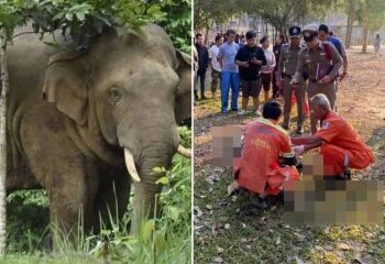 Mochilero británico que lucha por su vida después de un terrible accidente de tráfico en un viaje en moto por Tailandia mientras una familia desesperada pide ayuda