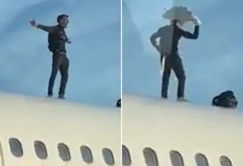 Momento aterrador: una banda de caballos invade la pista del aeropuerto y galopa hacia la pista