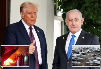 Momento en que el cerdo 'volador' transportado por un DRONE queda atrapado en una línea eléctrica