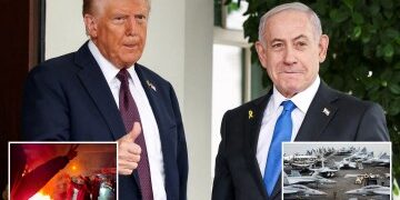 Momento en que el cerdo 'volador' transportado por un DRONE queda atrapado en una línea eléctrica