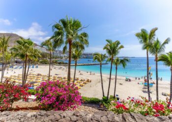 Un collage de imágenes que contiene 1 imágenes. La imagen 1 muestra el paisaje con la playa de Anfi, Gran Canaria.