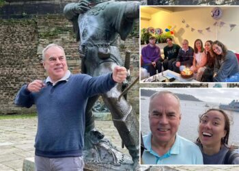 Un collage de imágenes que contiene 3 imágenes. La imagen 1 muestra NINTCHDBPICT001056430516. La imagen 2 muestra una familia de siete personas y un perro celebrando un cumpleaños con pastel, globos y pancartas. La imagen 3 muestra NINTCHDBPICT001056428409.