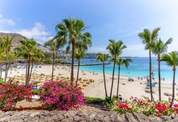 Un turista muere mientras volaba en parapente en un lugar de vacaciones británico mientras las Islas Canarias emiten una alerta urgente sobre olas monstruosas de 20 pies