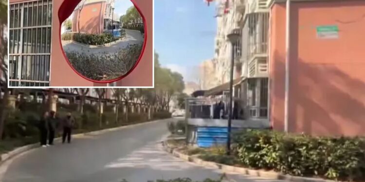Un collage de imágenes que contiene 2 imágenes. La imagen 1 muestra una carretera curva bordeada de árboles en un lado y edificios residenciales en el otro. La imagen 2 muestra un espejo convexo de seguridad vial que refleja una escena de la calle.