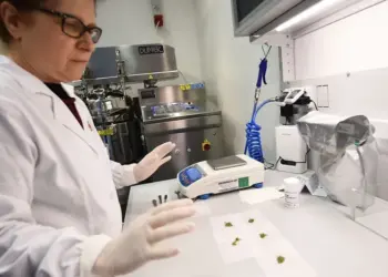 No Evidence Medical Cannabis Alleviates Anxiety, Depression, or PTSD