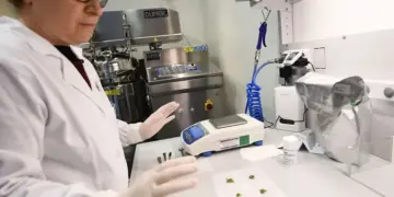 No Evidence Medical Cannabis Alleviates Anxiety, Depression, or PTSD