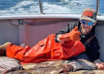 Todd Meadows Causa de muerte