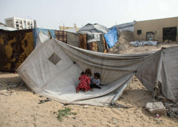 Al carecer de un saneamiento adecuado, los campamentos de tiendas de Gaza están siendo invadidos por roedores