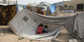 Al carecer de un saneamiento adecuado, los campamentos de tiendas de Gaza están siendo invadidos por roedores