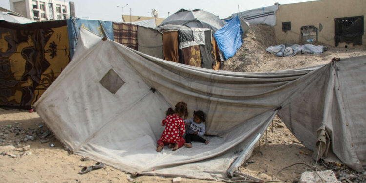 Al carecer de un saneamiento adecuado, los campamentos de tiendas de Gaza están siendo invadidos por roedores