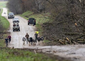 Candidata a gobernadora del Partido Republicano de Wisconsin se burla de los demócratas por sus observaciones fácticas sobre la crisis climática
