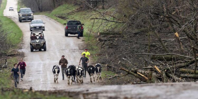 Candidata a gobernadora del Partido Republicano de Wisconsin se burla de los demócratas por sus observaciones fácticas sobre la crisis climática