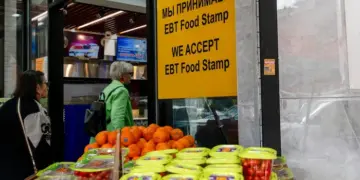 USDA Disqualifies 1,562 Retailers, Prevents $835 Million in Fraudulent SNAP Transactions
