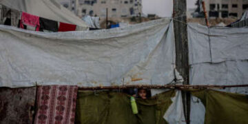 Israel continúa matando a trabajadores humanitarios en Gaza siete meses después del alto el fuego