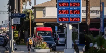 US Exports of Crude and Petroleum Products Hit Record Highs