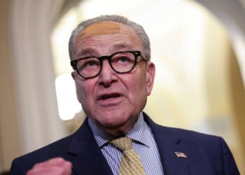 Los candidatos demócratas progresistas están utilizando su oposición a Schumer para atraer votantes