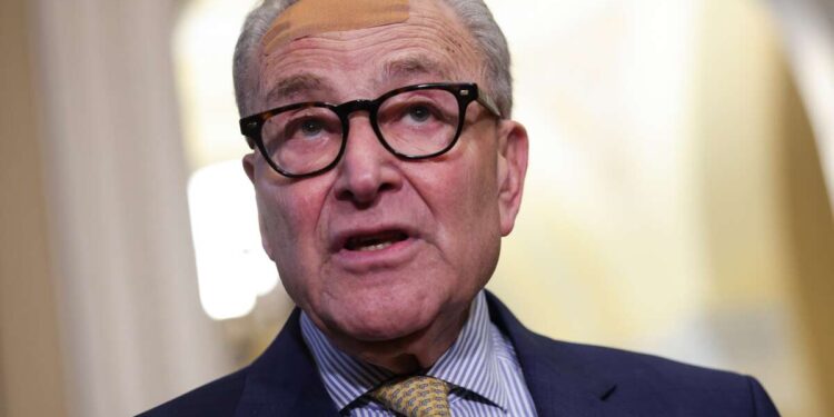 Los candidatos demócratas progresistas están utilizando su oposición a Schumer para atraer votantes