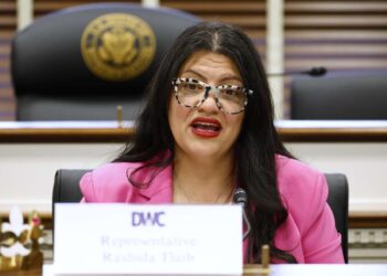 Tlaib: El gobierno de Trump debe retractarse de las afirmaciones “difamatorias” sobre los activistas de la flotilla de Gaza