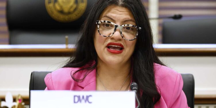 Tlaib: El gobierno de Trump debe retractarse de las afirmaciones “difamatorias” sobre los activistas de la flotilla de Gaza